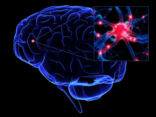 cerebroneuronio